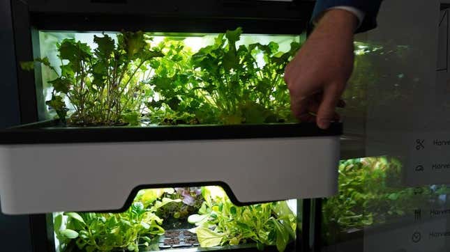 Vertical farming on display in Germany in 2020