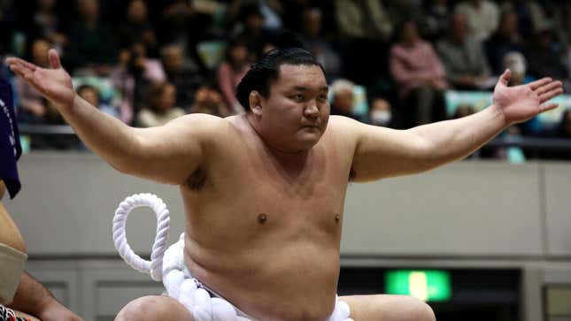 Image for article titled Sumo Wrestlers&#39; Flight Grounded Over Takedown Fears