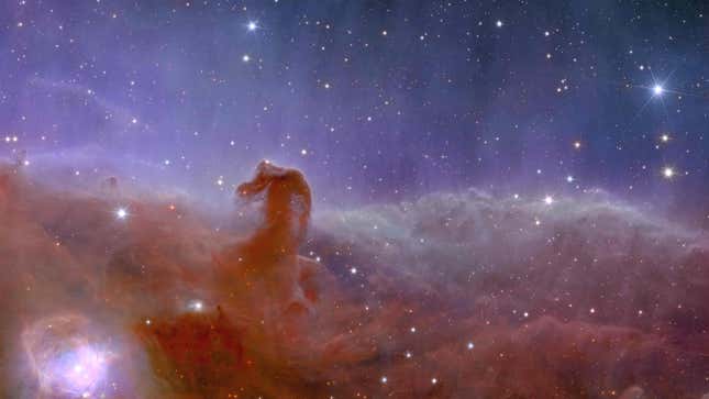 The Horsehead Nebula, as seen by Euclid.