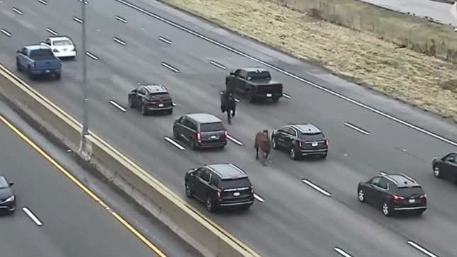 Image for article titled Police Chase Escaped Horses For Miles Down The Longest Highway In The U.S.