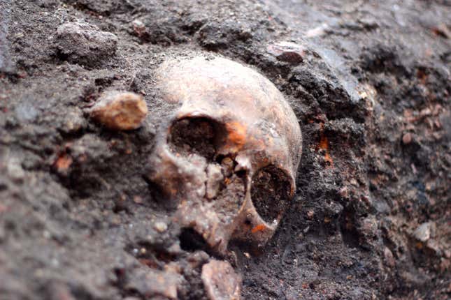 Archeologists begin the main excavation of the Bedlam burial ground.