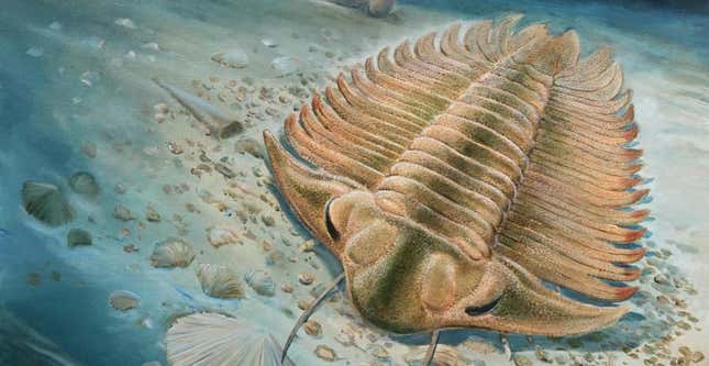 An illustration of a trilobite on the ocean floor.