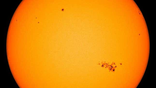Sunspot AR3664 captured by the Solar Dynamics Observatory. 
