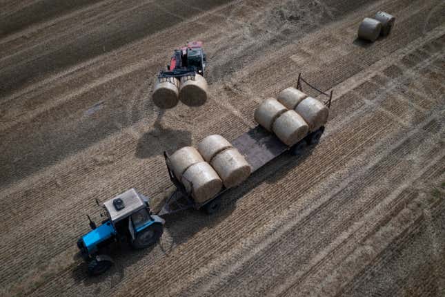 FILE - A tractor collects straw on a field in a private farm in Zhurivka, Kyiv region, Ukraine, Thursday, Aug. 10, 2023. The European Union faces a Friday, Sept. 15, 2023, deadline to decide whether to extend a ban on Ukrainian food from five nearby countries that have complained the influx has hurt their farmers. But they still allow grain and other products to head to parts of the world in need. (AP Photo/Efrem Lukatsky, File)