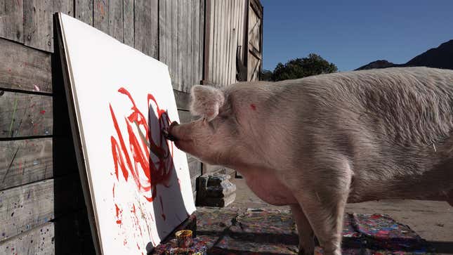 Una foto de Pigcasso pintando sobre un lienzo con un pincel.