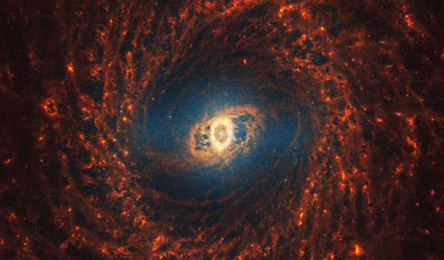 Image for article titled See Webb Telescope's 'Mind-Blowing' Collection of Spiral Galaxy Images