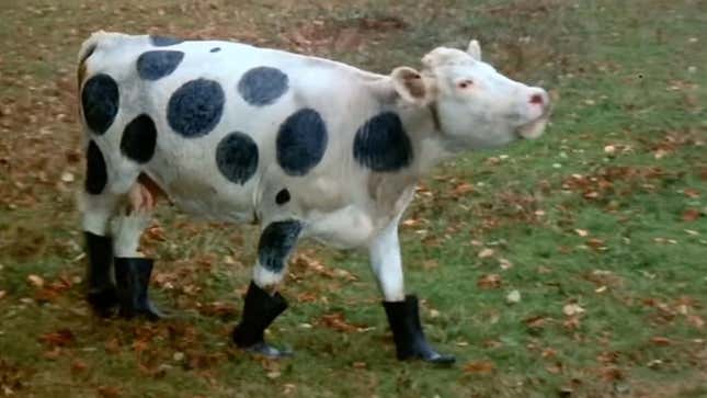 Cow disguise from Top Secret!