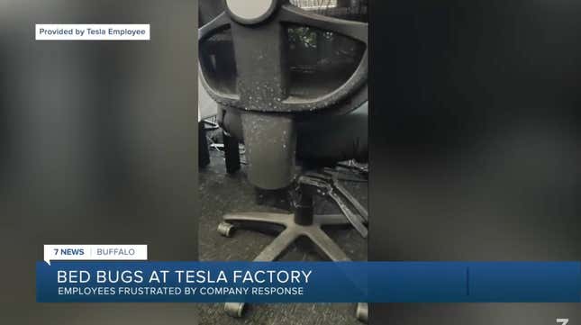 Image for article titled New York Tesla Gigafacotry Infested With Bed Bugs And Efforts To Kill Them Are Making Workers Sick