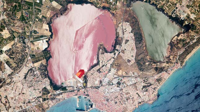 Image for article titled 14 of the Coolest Earth Photos NASA Earth Observatory Featured This Month