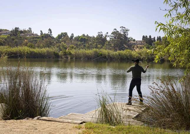 Image for article titled See inside a California ranch with 26 bedrooms, 22 bathrooms, and Olympic-caliber equestrian grounds