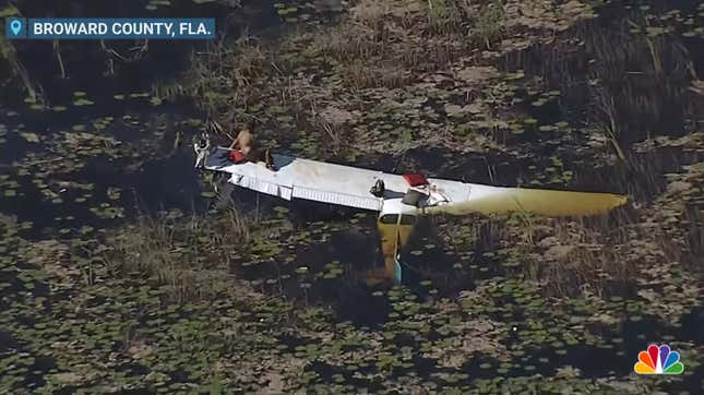 Image for article titled Crashed Pilot Spends Nine Gator-Fearing Hours Stranded On Plane Wing In Everglades