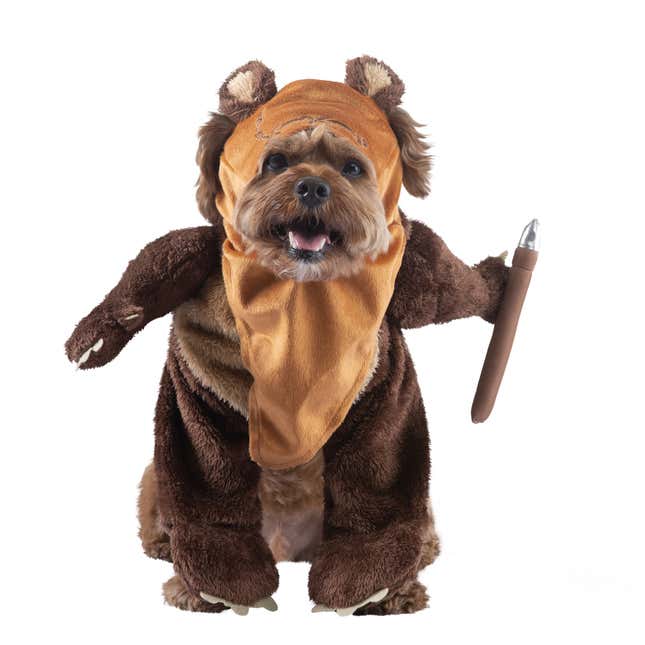 Ewok dog costume