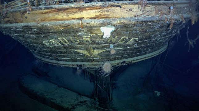 Image for article titled After 107 Years, The Lost Ship Endurance Is Found In Antarctica