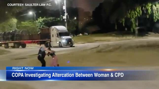 Image for article titled Black Woman Walking Dog on the Beach Is Handled Aggressively by Chicago Cop