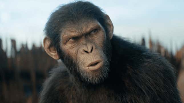 Maymunlar Gezegeni Krallığı'ndaki Noa rolünde Owen Teague.