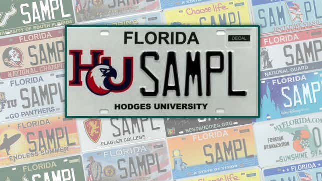 An image showing a personalised license plate design from Florida