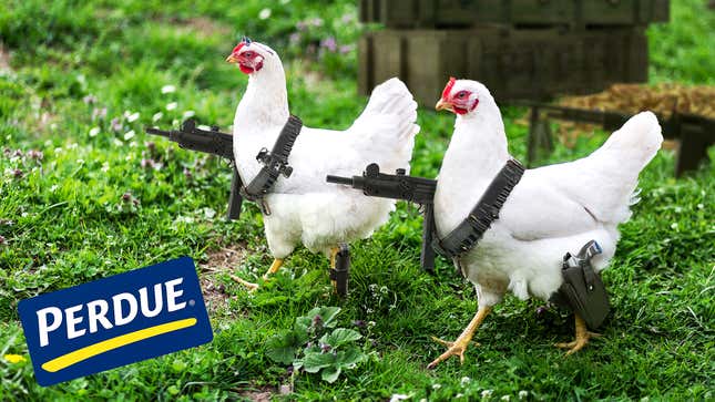 Image for article titled Perdue Announces Initiative To Even The Playing Field By Giving Chickens Guns