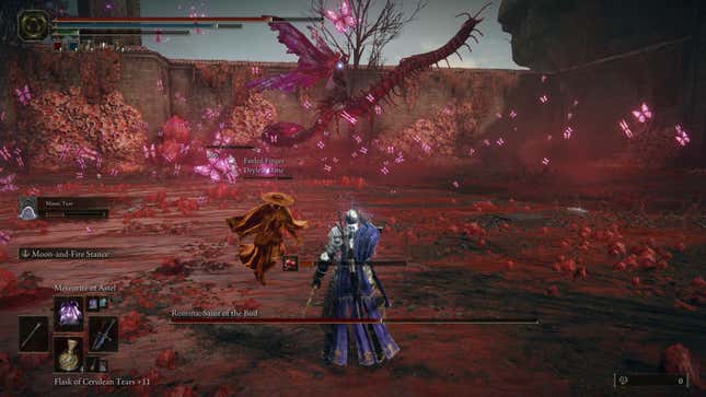 A screenshot of the Romina fight.