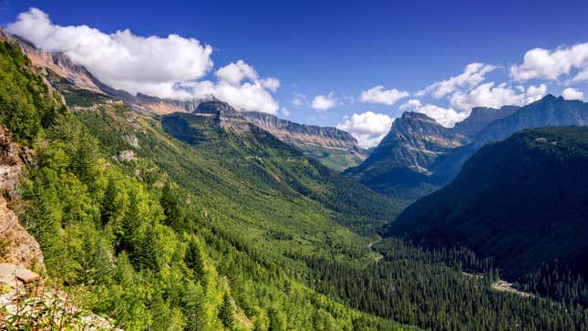 Ein Blick vom Rand der Going-to-the-Sun-Road, die durch den Glacier-Nationalpark in Montana führt.