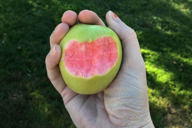 Image for article titled Quartzy: the abundance edition