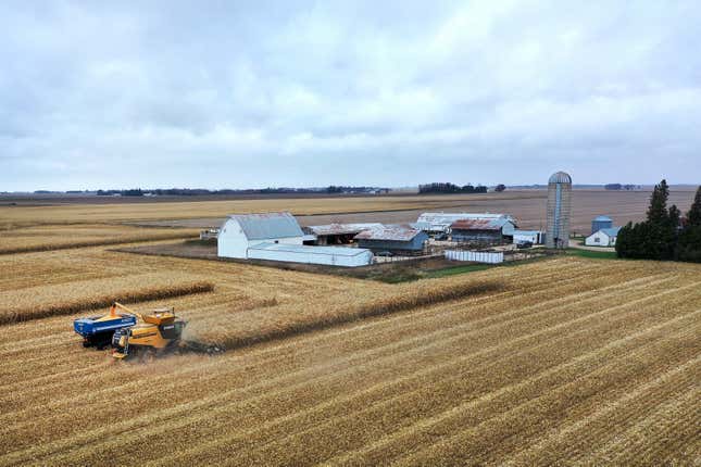 Farmers harvest corn in a field near Osage, Iowa.