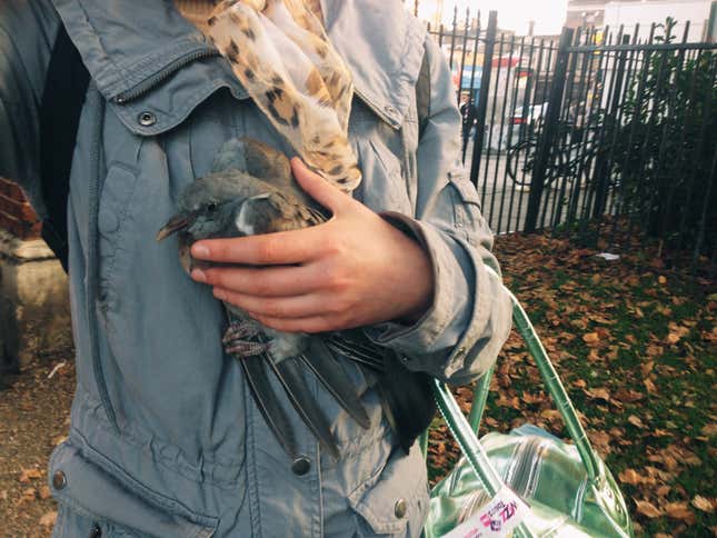 Image for article titled A street photographer’s poignant snapshots capture the humans of London