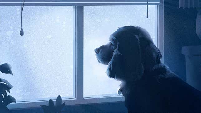 Image for article titled Dogs Mourn the Loss of a Canine Companion, New Evidence Suggests