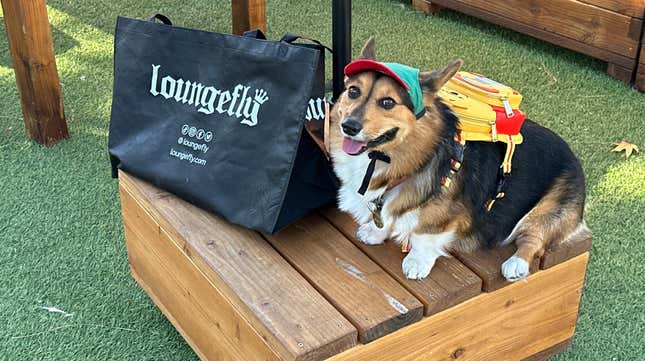 Loungefly Pet collection party