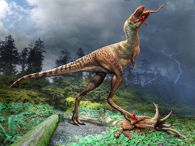 An illustration of the juvenile Gorgosaurus eating its prey.