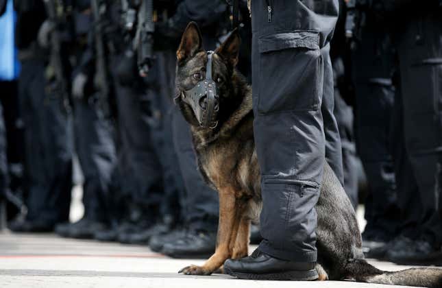 Image for article titled Police Set Dog On Uber Driver Who Missed Rental Car Payment