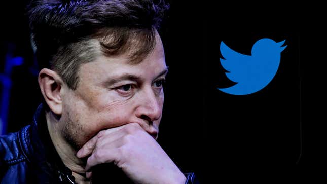 Elon Musk frowns as the Twitter logo hangs in front of him.