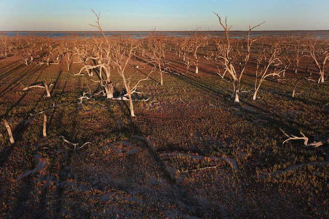 Image for article titled Photos: Aerial shots showcase Australia’s brutal drought