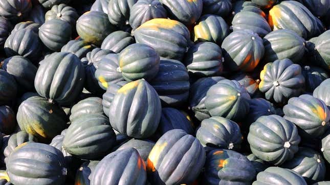 acorn squash