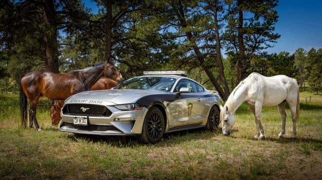 Ford Mustang der Colorado State Police