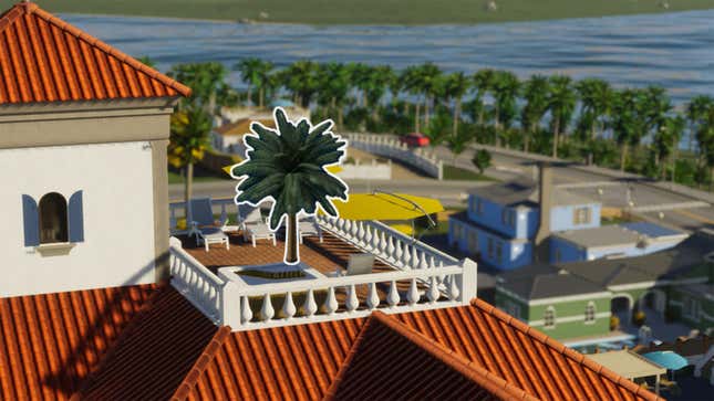 A palm tree stands on a beachfront pool deck. 