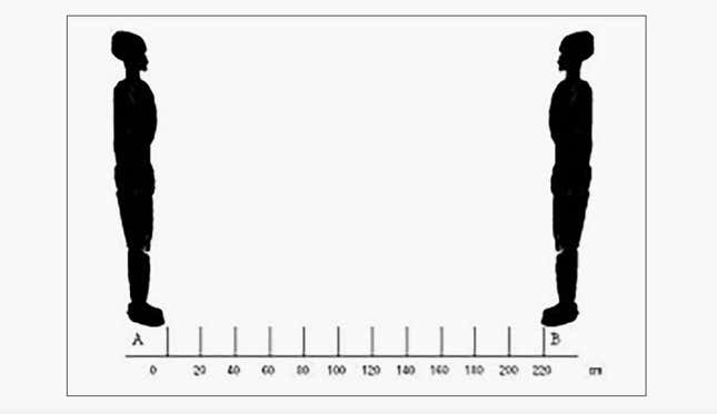 The graphic that researchers showed subjects.