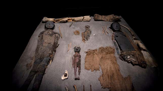 Chinchorro mummies on display at the San Miguel de Azapa archaeological museum in Camarones, Chile.