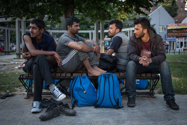 A group of men sit in Belgrade’s ‘Afghan Park’ where at least 500 asylum-seekers have been gathering daily in search of a way to enter Hungary.