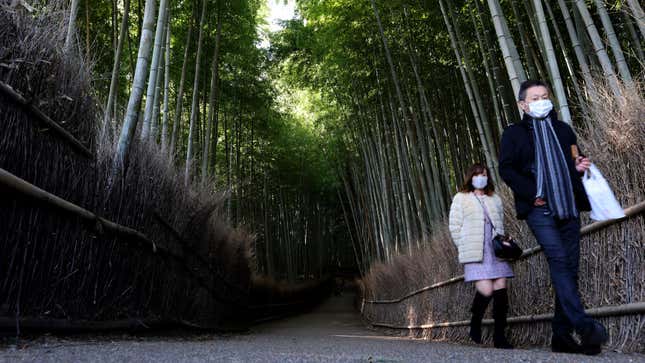 Arashiyama is one of Kyoto's most popular spots. 