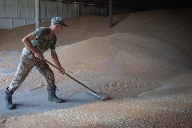 FILE - A worker rakes wheat in a granary on a private farm in Zhurivka, Kyiv region, Ukraine, Thursday, Aug. 10, 2023. Poland&#39;s state news agency is reporting that Polish farmers who had blockaded a border crossing to Ukraine ended their protest after reaching an agreement with the government that met their demands. The frustration of the farmers was one of the challenges facing the new Polish government of Prime Minister Donald Tusk, which seeks to support Ukraine while also addressing the demands of Polish farmers and truckers whose livelihoods have been hurt by the war. (AP Photo/Efrem Lukatsky, File)