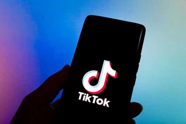 Bild für Artikel mit dem Titel Diese schwarzen amerikanischen Milliardäre könnten TikTok retten