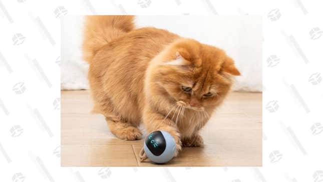 Smart &amp; Interactive Self-Rotating Ball Cat Teaser | $29 | StackSocial