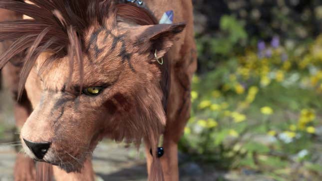 Red XIII faces the camera with his one good eye.