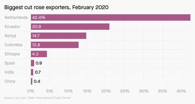 A chart showing the world's largest exporters of roses in 2020.