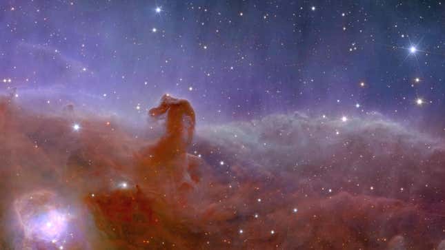 The Horsehead Nebula, as seen by the Euclid Space Telescope.