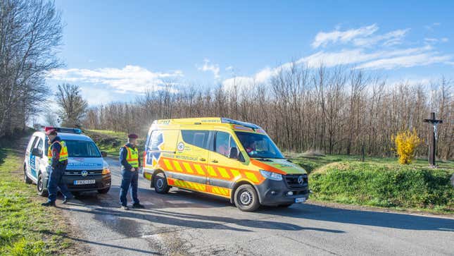 A photo of police and ambulances on the scene of the crash in Hungary. 