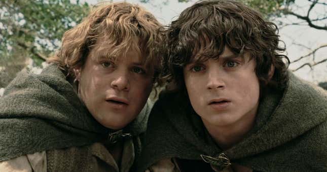 Samwise Gamgee and Frodo Baggins, looking confused.