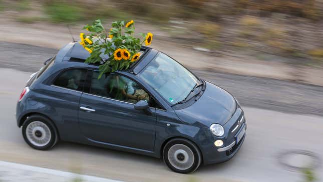 A photo of large sunflowers coming out the sunroof on a Fiat 500. 