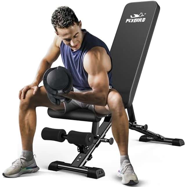 Image for article titled FLYBIRD Weight Bench, Now 25% Off