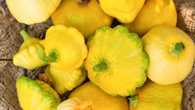 patty pan squash